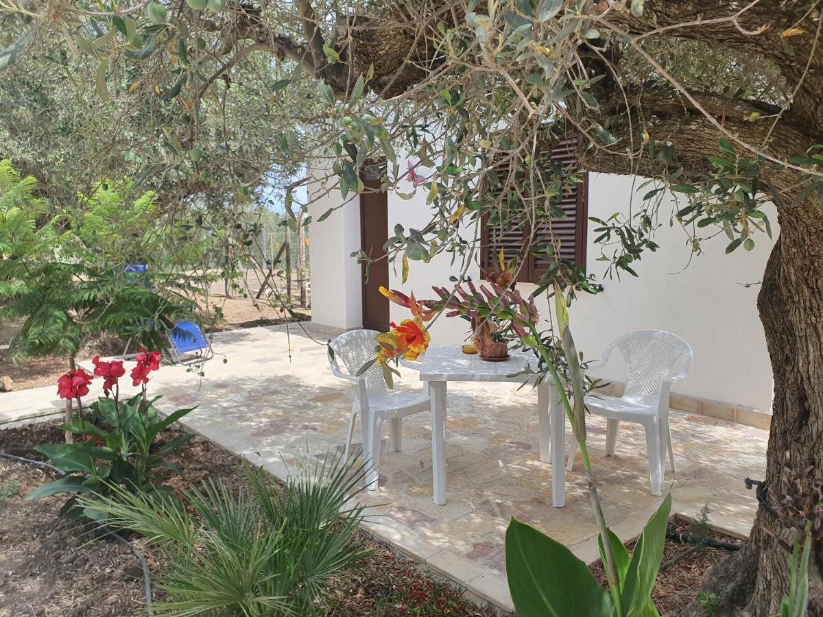 Agrisicilia Guest House Маринела ди Селинунте Екстериор снимка